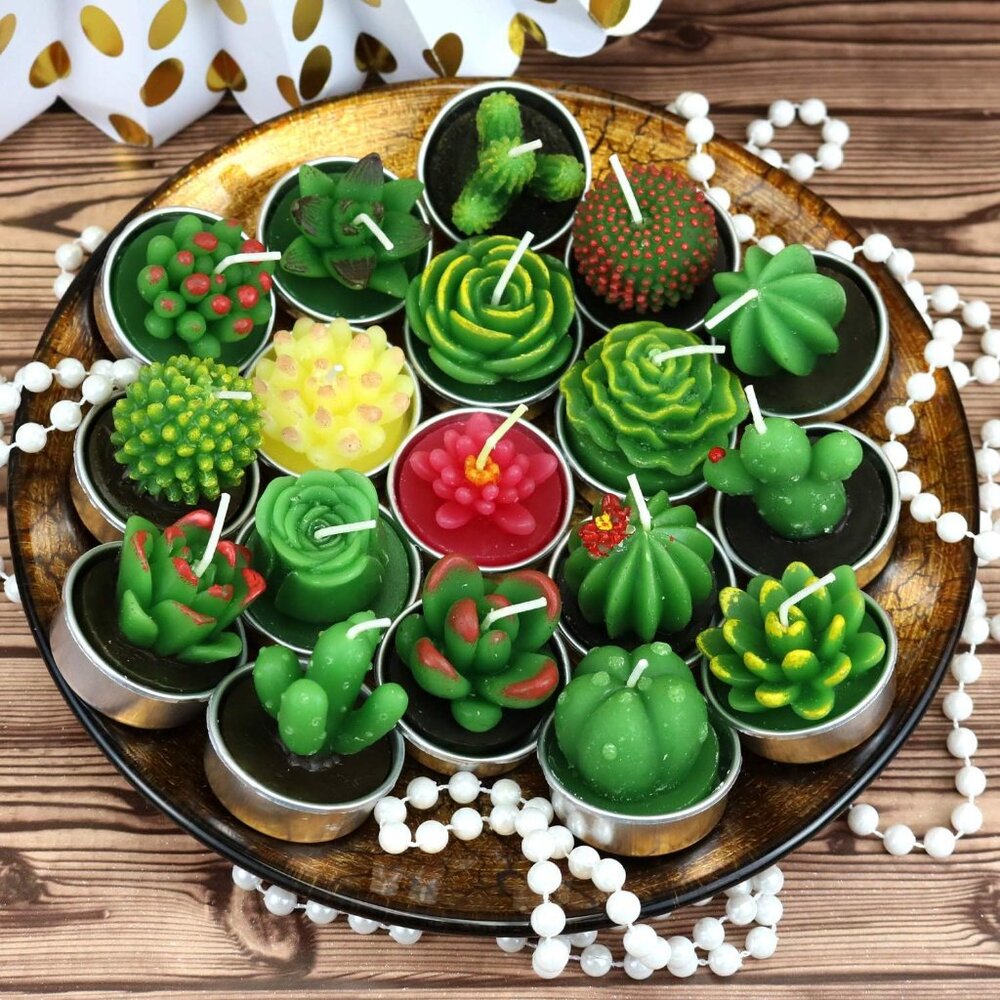 Scented Succulent Cactus Tealight Candles, 6pk NIP